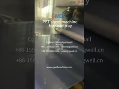 % 100 geri dönüştürülmüş malzeme tohum tepsisi için PET tabaka ekstrüzyon makinesi