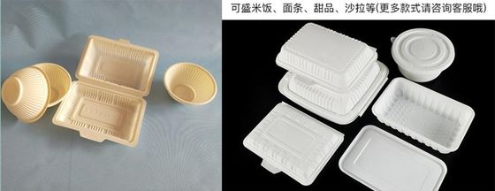 PLA Bozunabilir Üretim Makinesi Öğle Yemeği Kutuları İçin Polilaktik Asit Plastik Levha Ekstrüzyon Makinesi Blister Levha